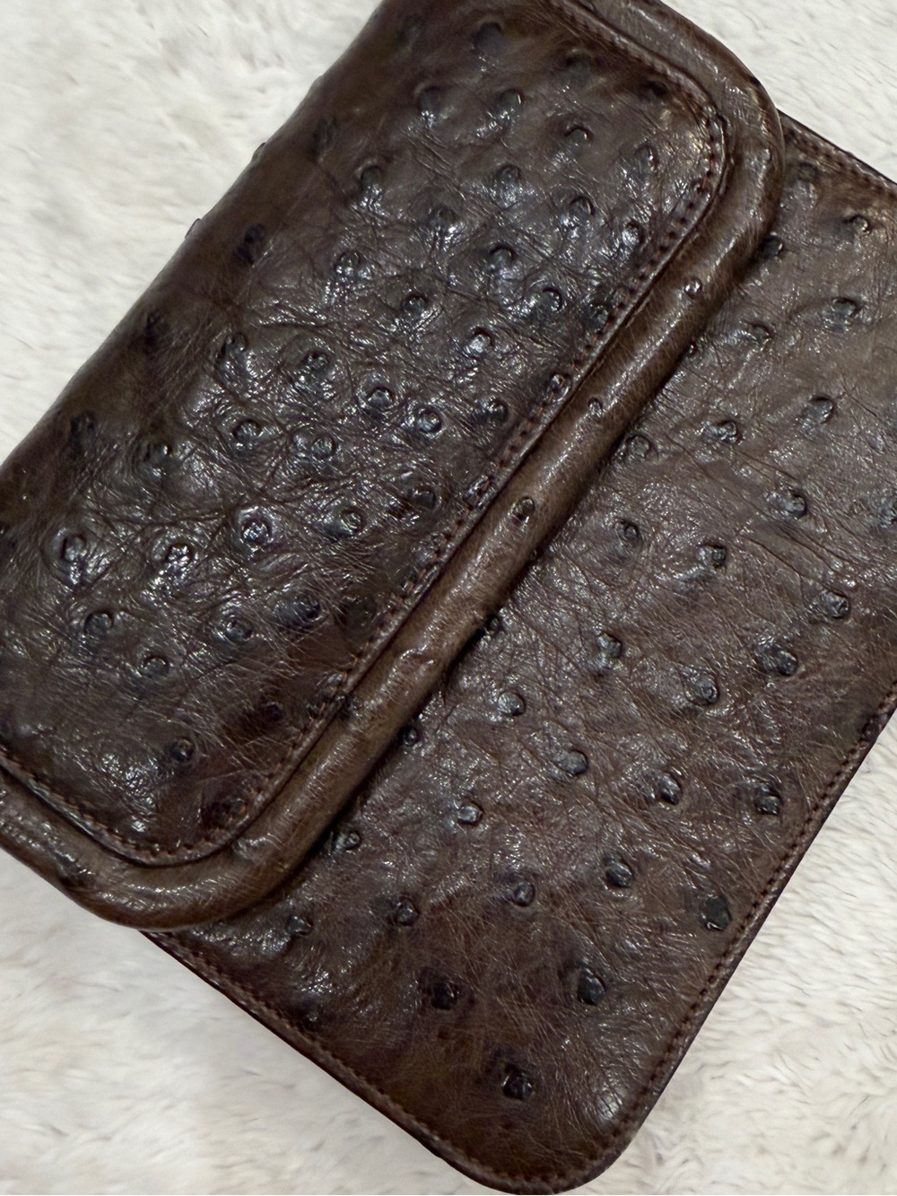 Vintage Ostrich Bag